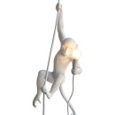 The Monkey Lamp pendant lamp